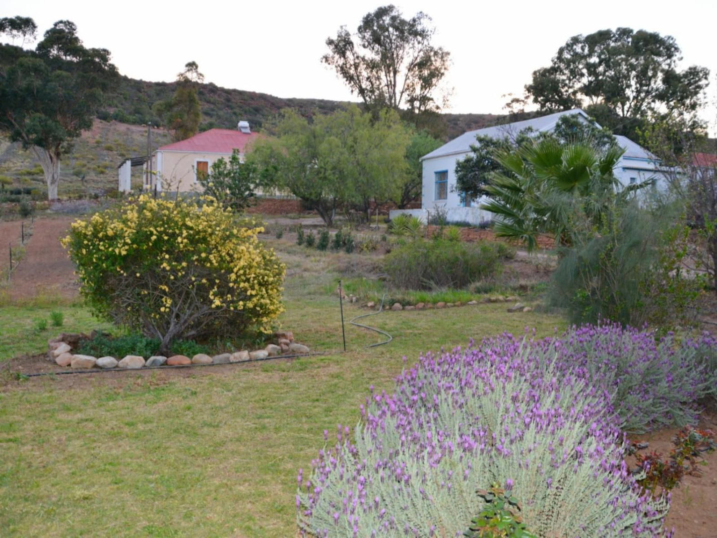 The Country Garden Ladismith Western Cape South Africa House, Building, Architecture, Plant, Nature, Garden