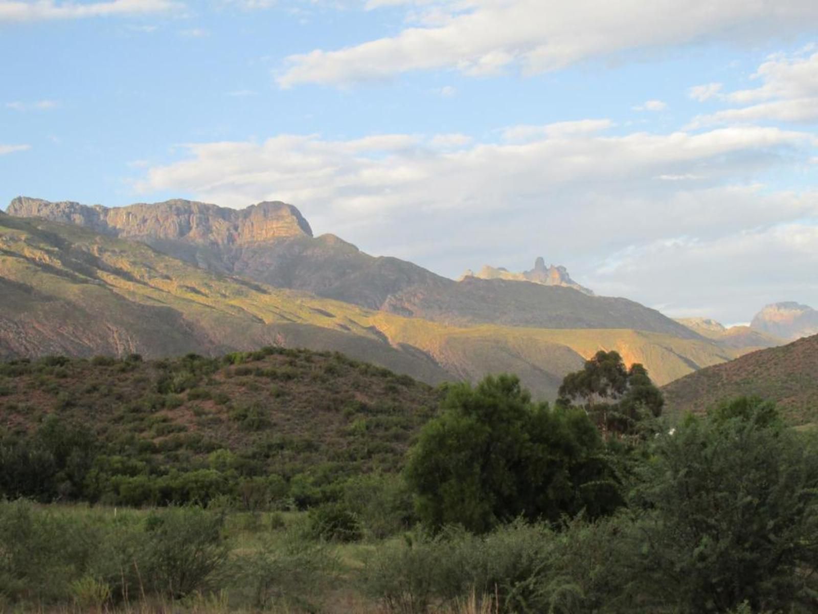 The Country Garden Ladismith Western Cape South Africa Nature