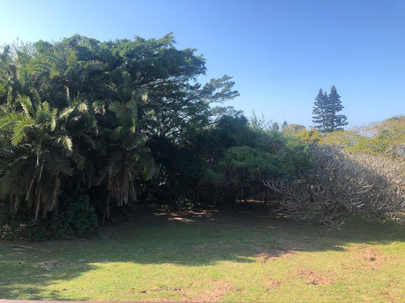 Beefwood Guesthouse Pennington Kwazulu Natal South Africa Complementary Colors, Palm Tree, Plant, Nature, Wood, Tree