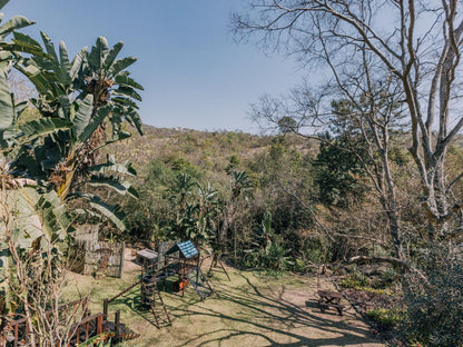 Beetleloop Guest House, Palm Tree, Plant, Nature, Wood, Ruin, Architecture