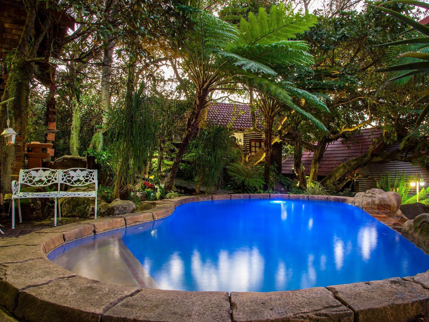 Beetleloop Guesthouse Nelspruit Mpumalanga South Africa Complementary Colors, Garden, Nature, Plant, Swimming Pool