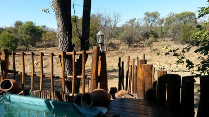 Beka Idube Boekenhoutkloof Pretoria Tshwane Gauteng South Africa Complementary Colors, Cactus, Plant, Nature