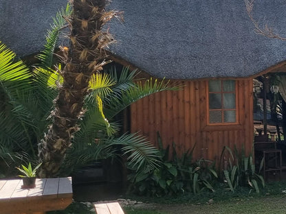 Belihante Lodge Vaalkoppies Settlement Upington Northern Cape South Africa Palm Tree, Plant, Nature, Wood