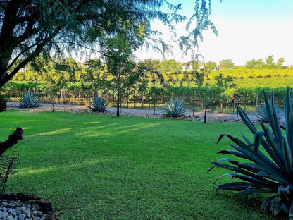 Belihante Lodge Vaalkoppies Settlement Upington Northern Cape South Africa Palm Tree, Plant, Nature, Wood, Garden