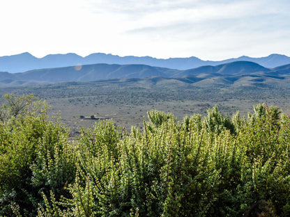 Bella De Karoo Calitzdorp Western Cape South Africa Nature