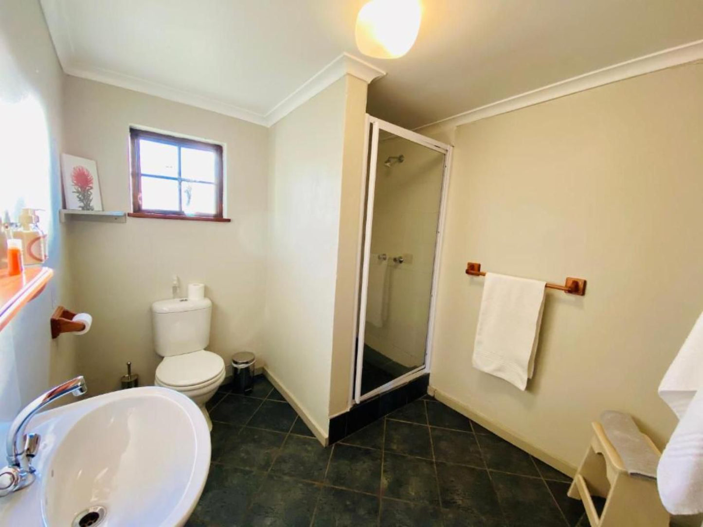 Bella Manga Country Escape Plettenberg Bay Western Cape South Africa Bathroom