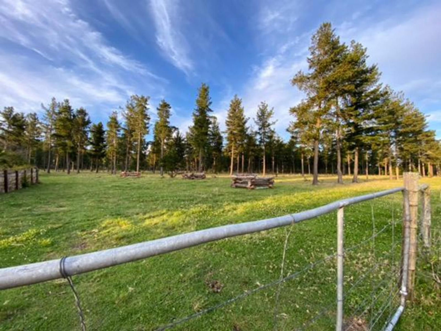 Bella Manga Country Escape Plettenberg Bay Western Cape South Africa Complementary Colors, Tree, Plant, Nature, Wood