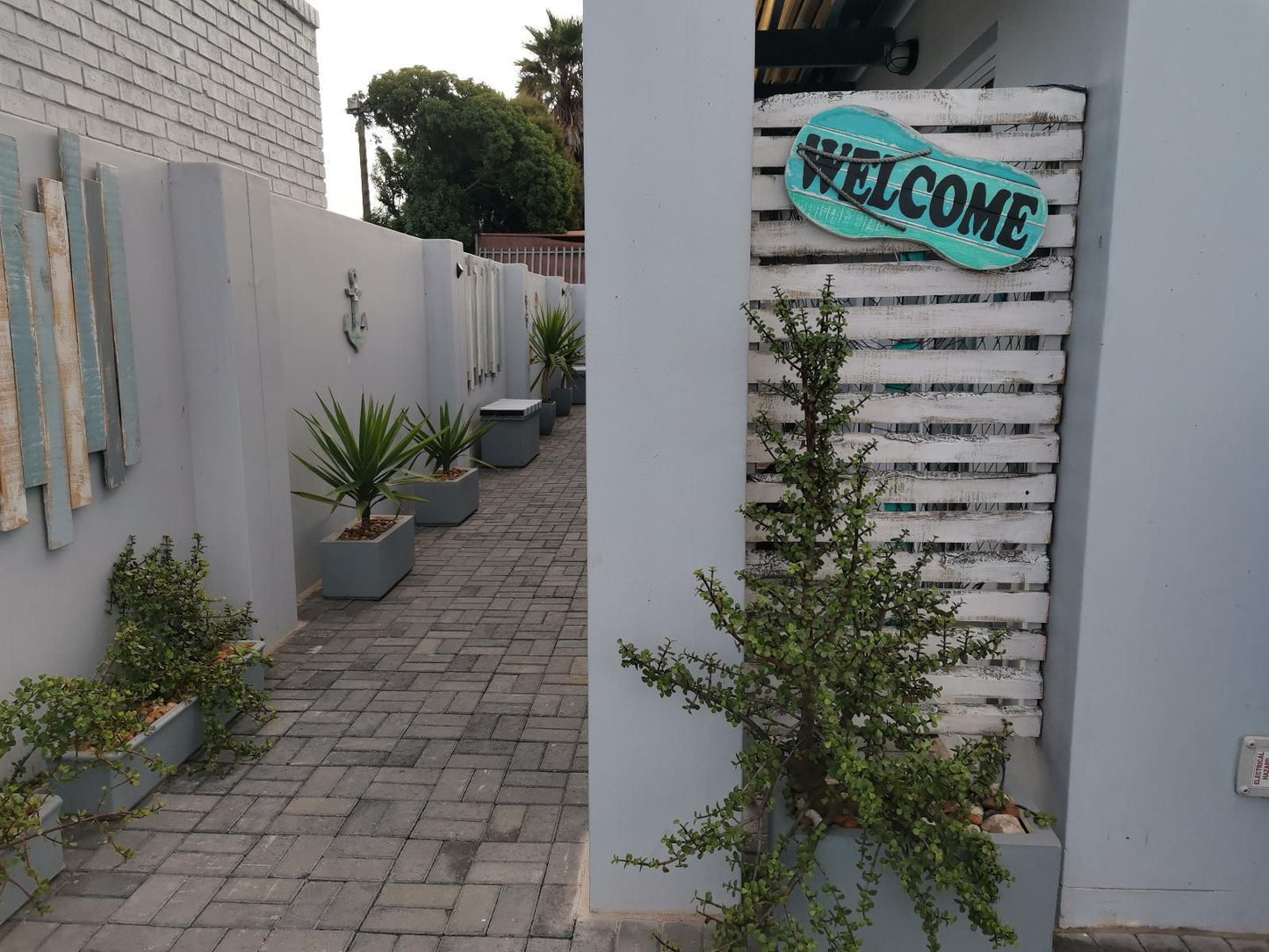 Bella Mia Langebaan, House, Building, Architecture, Palm Tree, Plant, Nature, Wood