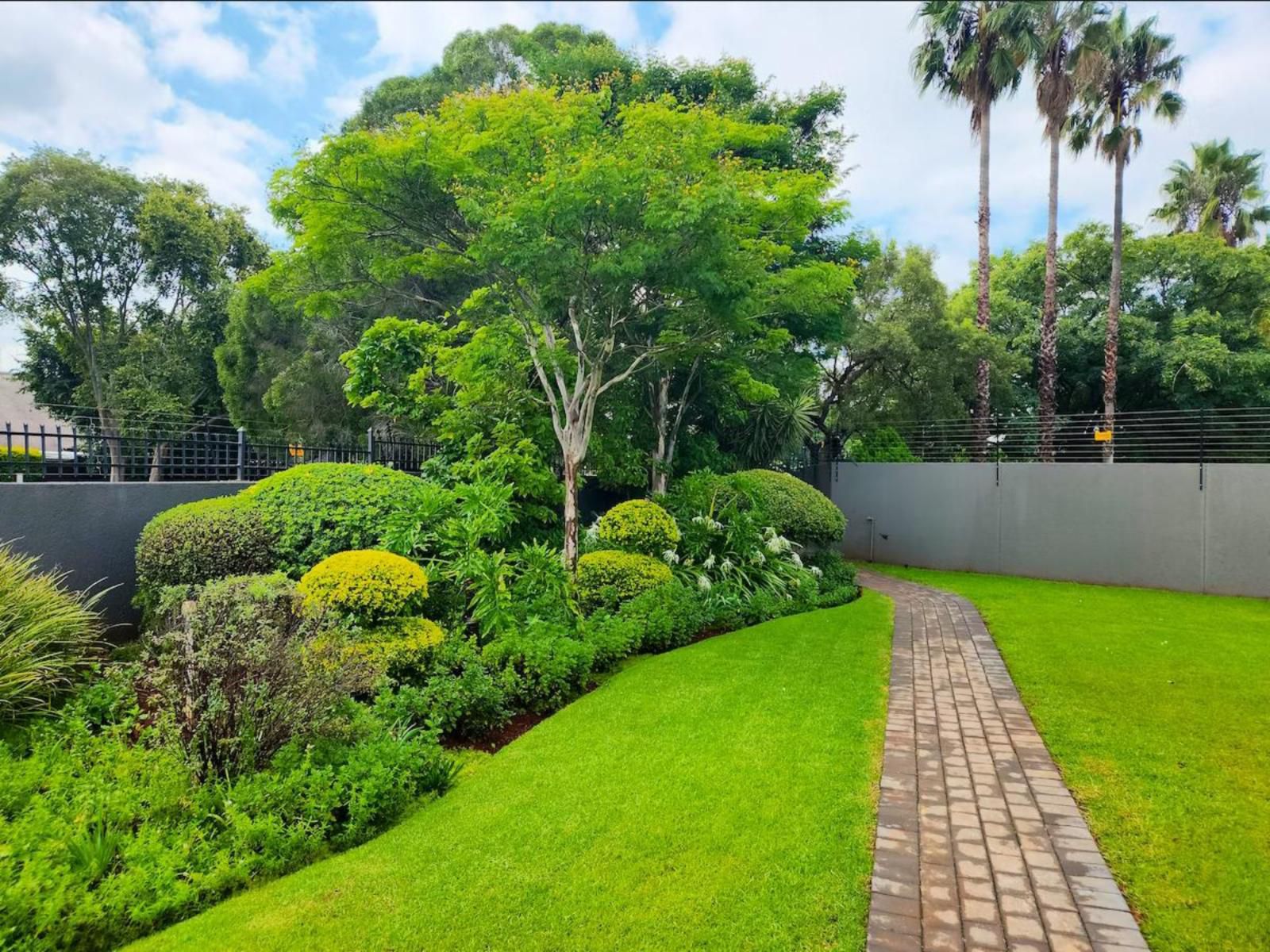 Bella Ragazza Accommodation, Palm Tree, Plant, Nature, Wood, Garden