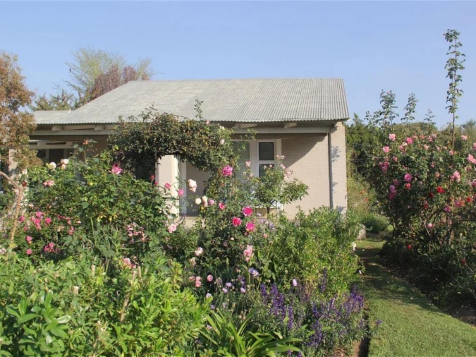 Bella Rosa Farm Beaulieu Johannesburg Gauteng South Africa Complementary Colors, House, Building, Architecture, Plant, Nature, Garden