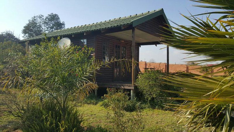Bella Khaya Guest House Midrand Johannesburg Gauteng South Africa Palm Tree, Plant, Nature, Wood