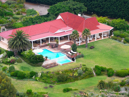 Bellavista Country Place Stanford Western Cape South Africa House, Building, Architecture, Palm Tree, Plant, Nature, Wood, Swimming Pool