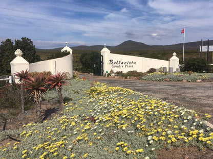 Bellavista Country Place Stanford Western Cape South Africa Complementary Colors, Cactus, Plant, Nature