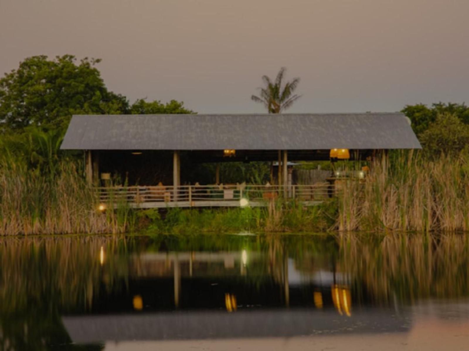 Belle Balance Bush Lodge Plettenberg Bay Western Cape South Africa Sepia Tones