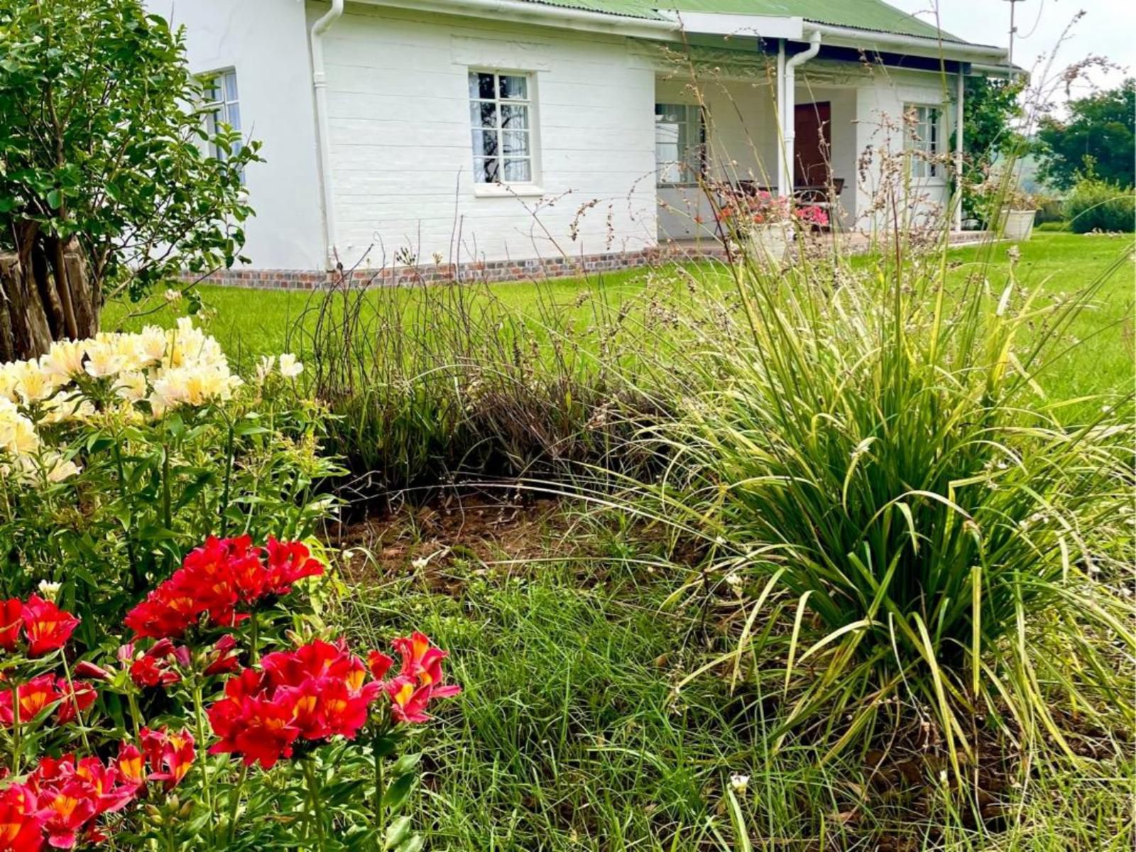 Bellevue Berg Cottage Bergville Kwazulu Natal South Africa House, Building, Architecture, Plant, Nature, Garden