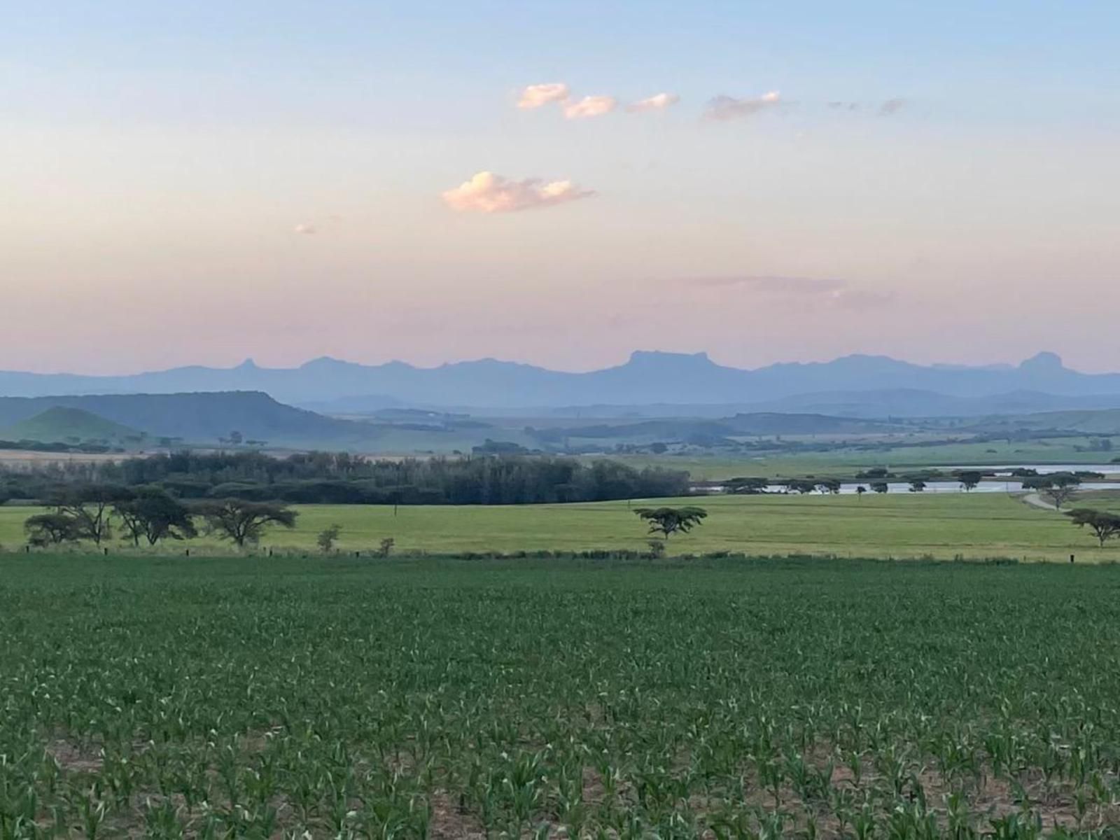 Bellevue Berg Cottage Bergville Kwazulu Natal South Africa Field, Nature, Agriculture, Lowland