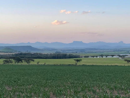 Bellevue Berg Cottage Bergville Kwazulu Natal South Africa Field, Nature, Agriculture, Lowland