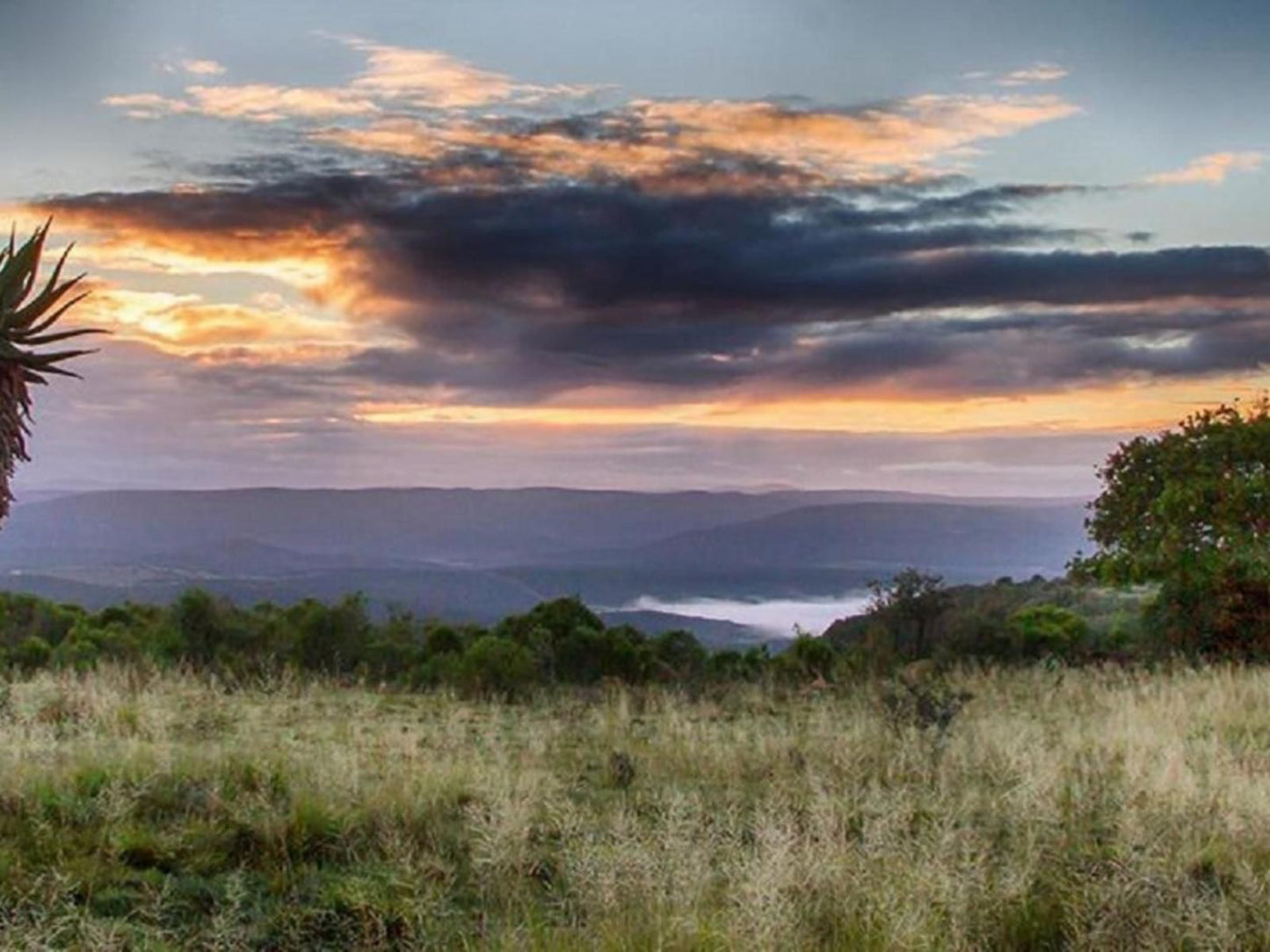 Bellevue Forest Reserve Paterson Eastern Cape South Africa Nature, Sunset, Sky