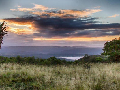 Bellevue Forest Reserve Paterson Eastern Cape South Africa Nature, Sunset, Sky