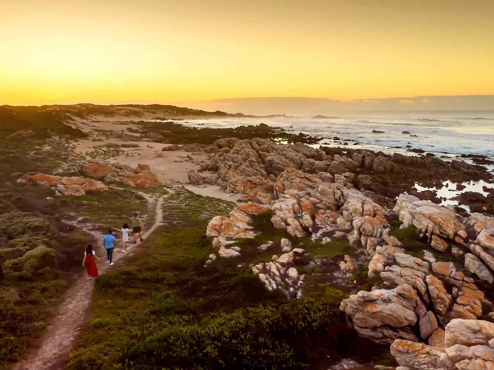 Bellevue Forest Reserve Paterson Eastern Cape South Africa Colorful, Beach, Nature, Sand