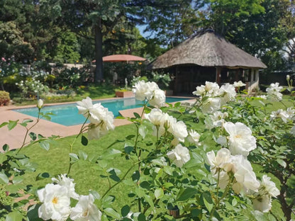 Bellgrove Guest House Sandton, Plant, Nature, Garden