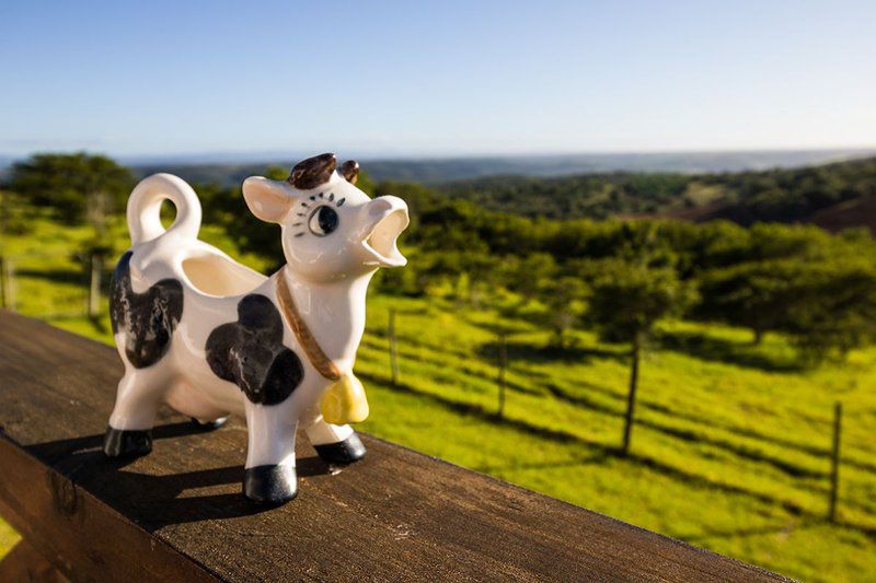 The Milking Parlour Belton Farm Kenton On Sea Eastern Cape South Africa Complementary Colors, Plush Toy