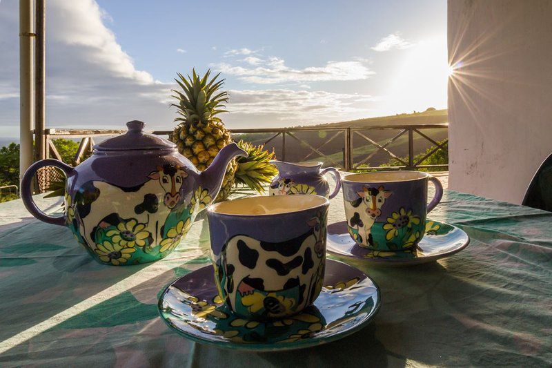 The Milking Parlour Belton Farm Kenton On Sea Eastern Cape South Africa Cup, Drinking Accessoire, Drink, Food