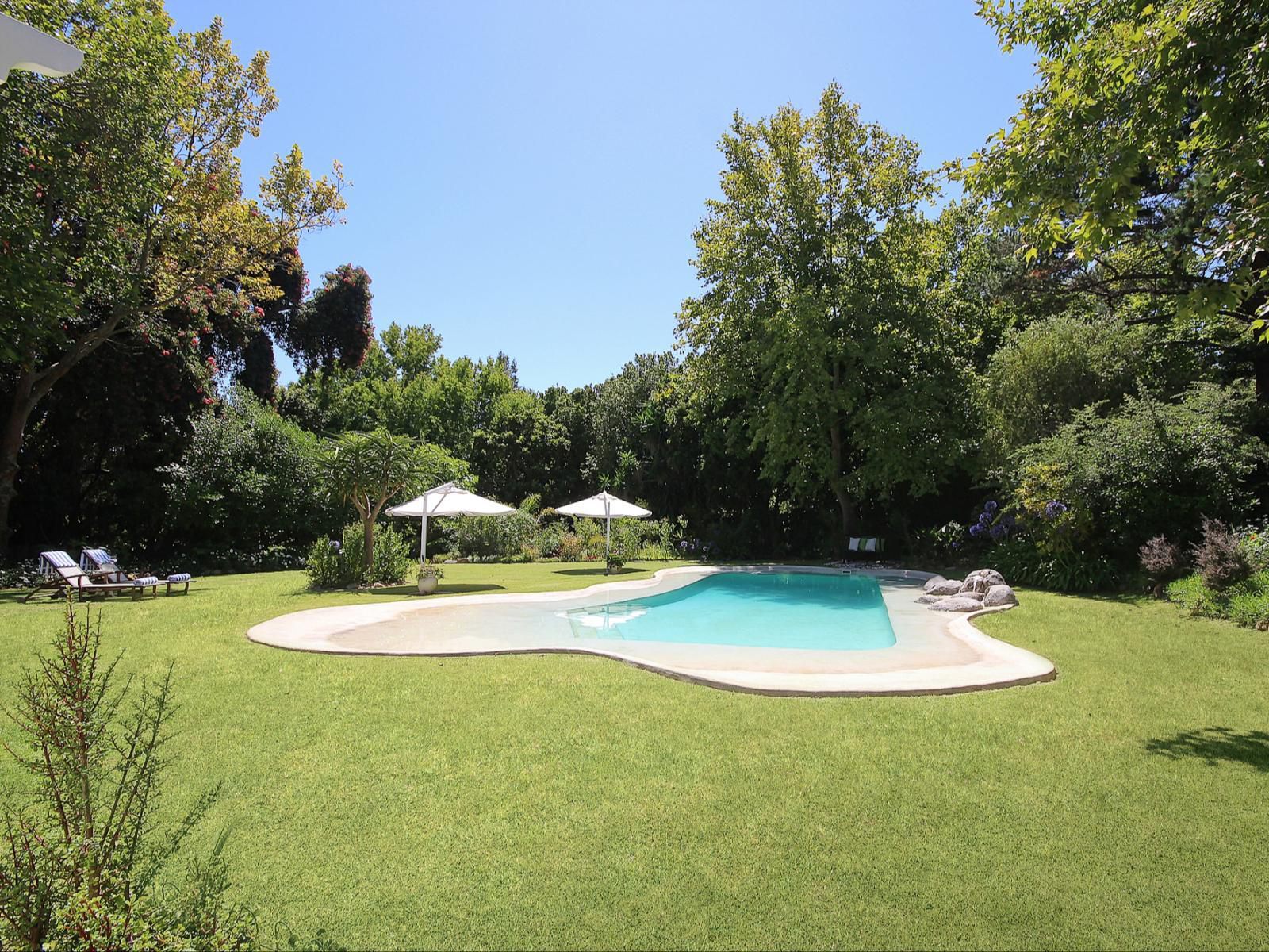 Beluga Of Constantia Guest House, Garden, Nature, Plant, Swimming Pool