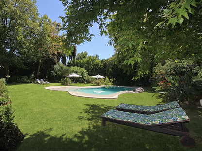 Beluga Of Constantia Guest House, Garden, Nature, Plant, Swimming Pool