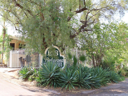 Belurana Collection Victoria Manor Rand Upington Northern Cape South Africa Palm Tree, Plant, Nature, Wood, Sign, Garden