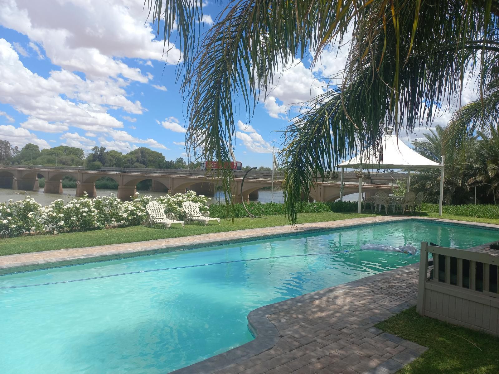 Belurana River Manor Upington Northern Cape South Africa Palm Tree, Plant, Nature, Wood, Garden, Swimming Pool