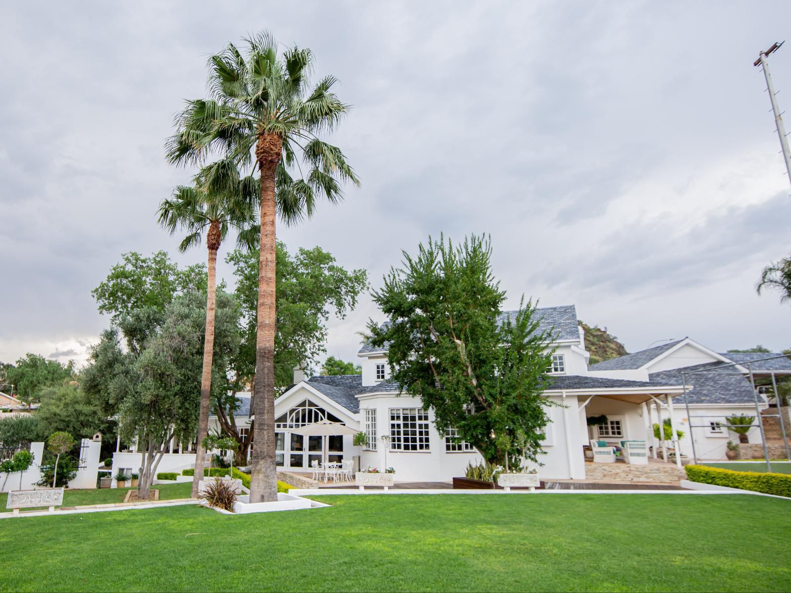 Belvedere Boutique Hotel, House, Building, Architecture, Palm Tree, Plant, Nature, Wood