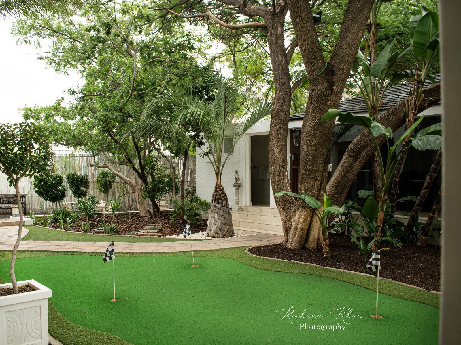 Belvedere Boutique Hotel, Palm Tree, Plant, Nature, Wood, Garden, Golfing, Ball Game, Sport, Swimming Pool