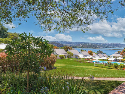 Belvidere Manor Belvedere Knysna Western Cape South Africa Complementary Colors, Palm Tree, Plant, Nature, Wood