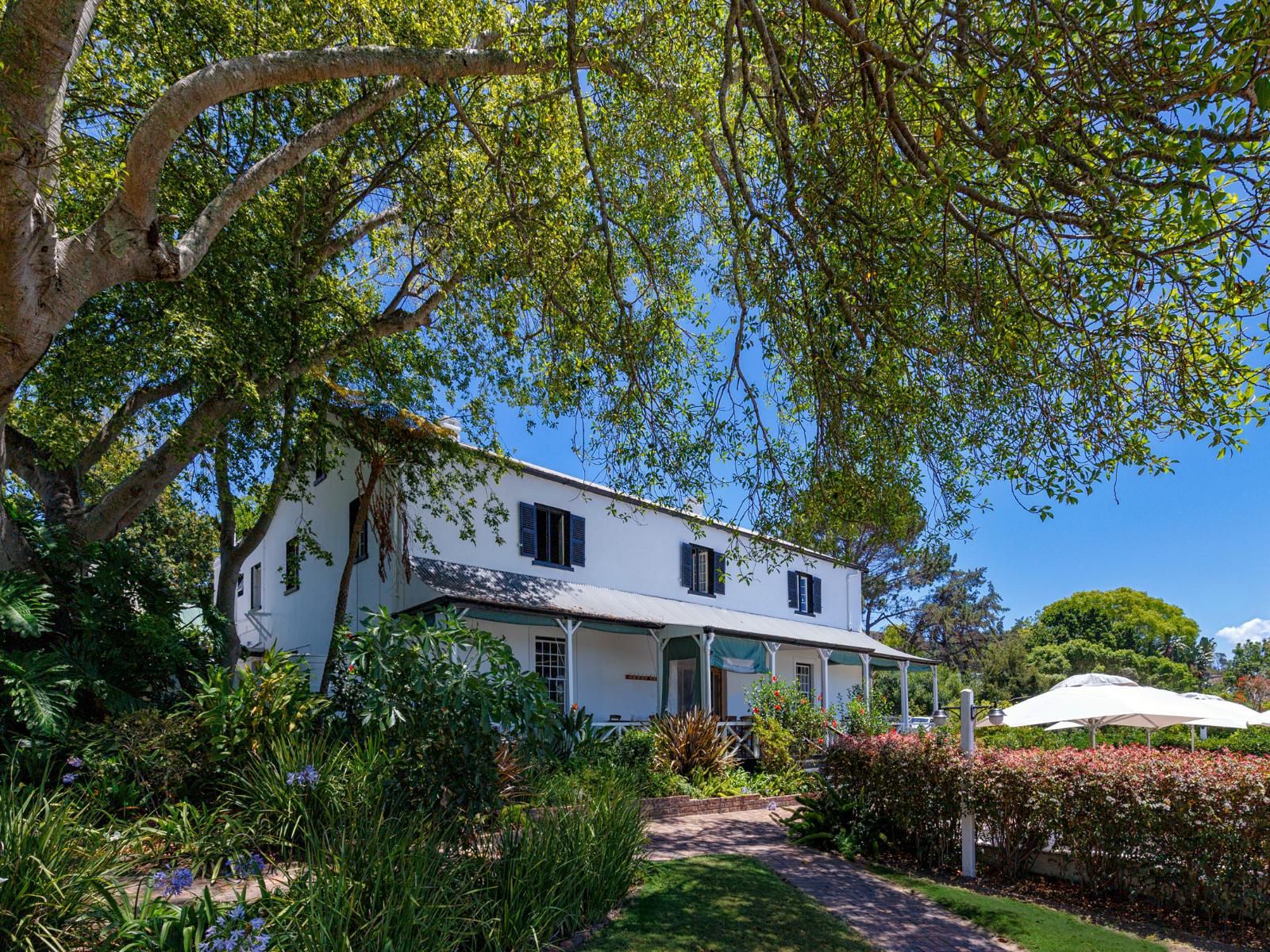 Belvidere Manor Belvedere Knysna Western Cape South Africa House, Building, Architecture, Palm Tree, Plant, Nature, Wood, Garden