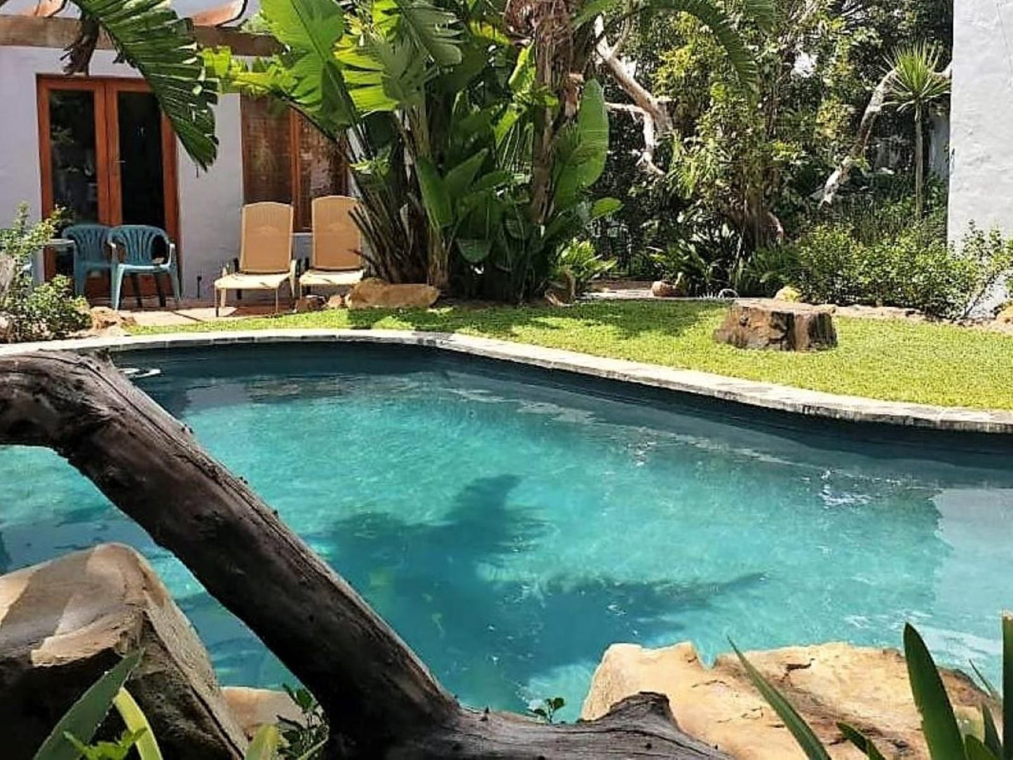 Be My Guest Lodge Bloubergstrand Blouberg Western Cape South Africa Complementary Colors, Palm Tree, Plant, Nature, Wood, Garden, Swimming Pool