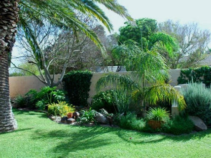 Be My Guest Lodge Bloubergstrand Blouberg Western Cape South Africa Palm Tree, Plant, Nature, Wood, Garden
