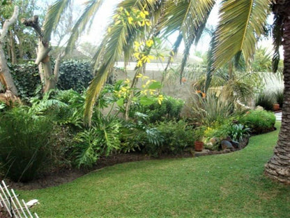 Be My Guest Lodge Bloubergstrand Blouberg Western Cape South Africa Palm Tree, Plant, Nature, Wood, Garden