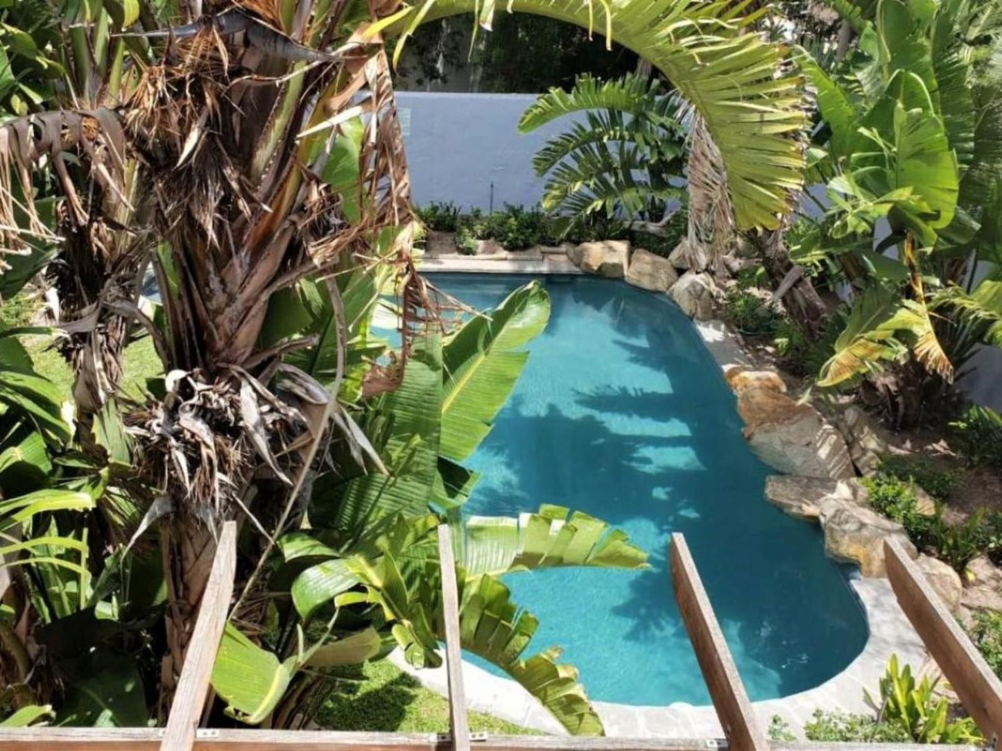 Be My Guest Lodge Bloubergstrand Blouberg Western Cape South Africa Palm Tree, Plant, Nature, Wood, Garden, Swimming Pool