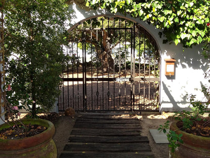 Be My Guest Lodge Bloubergstrand Blouberg Western Cape South Africa Garden, Nature, Plant