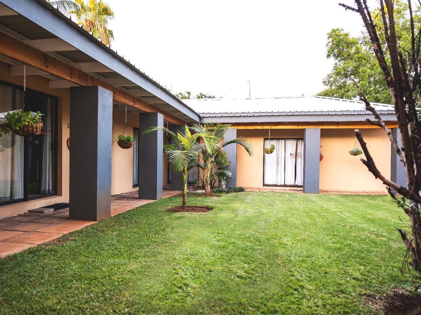 Be My Guest Guesthouse Upington Northern Cape South Africa House, Building, Architecture, Palm Tree, Plant, Nature, Wood