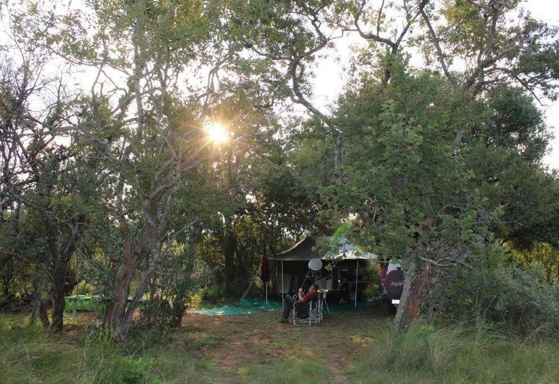 Bendito Ranch Percy Fyfe Nature Reserve Limpopo Province South Africa Tent, Architecture, Tree, Plant, Nature, Wood