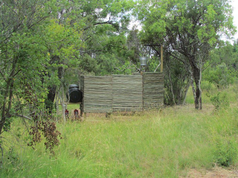 Bendito Ranch Percy Fyfe Nature Reserve Limpopo Province South Africa 