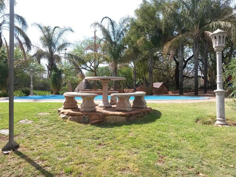 Benlize Lodge Broederstroom Hartbeespoort North West Province South Africa Palm Tree, Plant, Nature, Wood, Swimming Pool