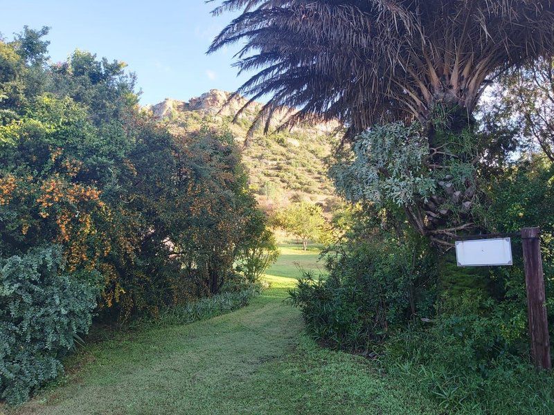 Ben Nevis Guestfarm Clocolan Free State South Africa Palm Tree, Plant, Nature, Wood, Garden, Golfing, Ball Game, Sport