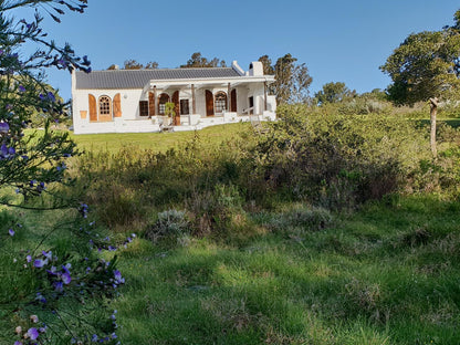 Berg N Dal Heritage Farm Gansbaai Western Cape South Africa Complementary Colors, House, Building, Architecture