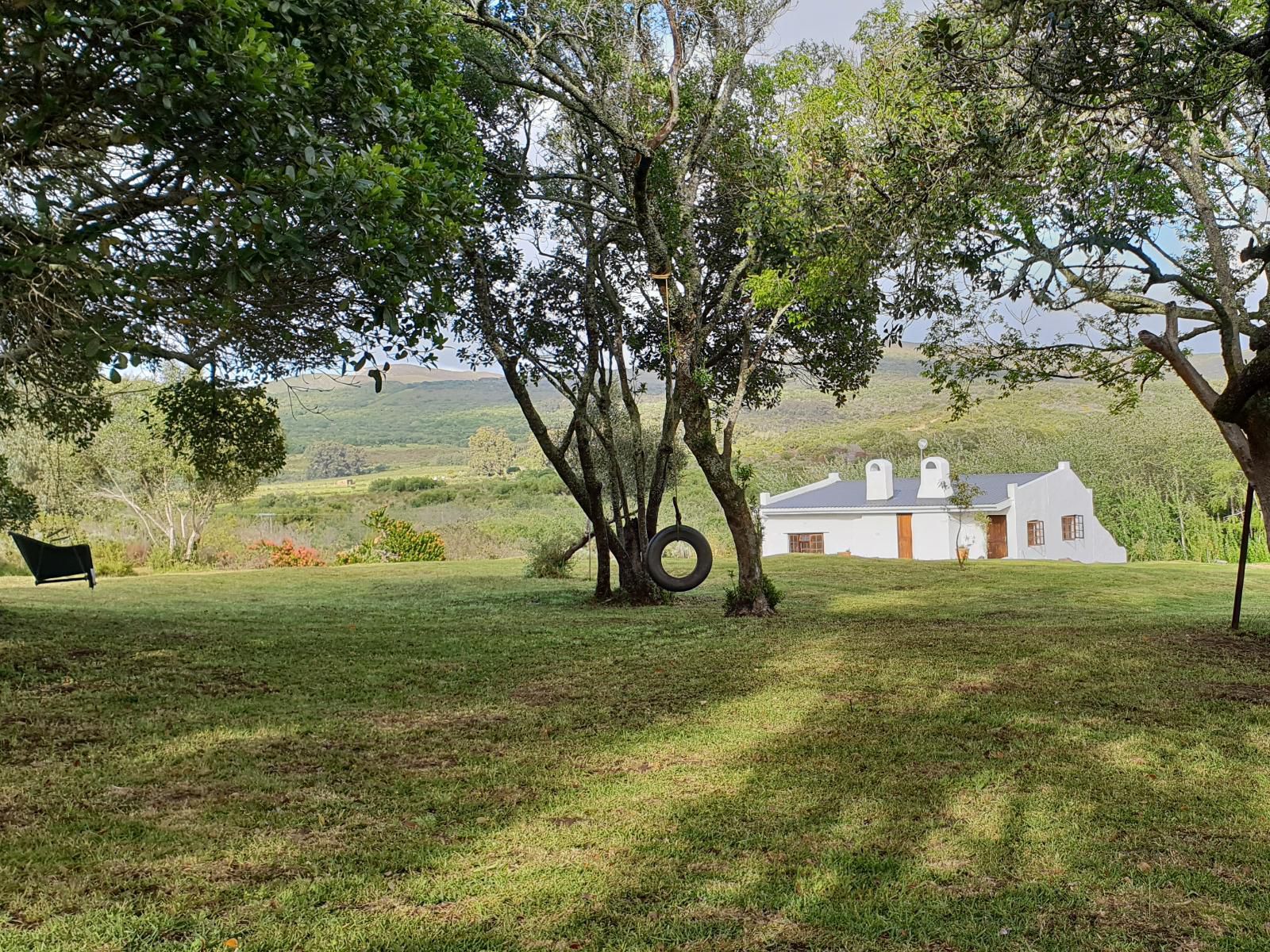 Berg N Dal Heritage Farm Gansbaai Western Cape South Africa Tree, Plant, Nature, Wood