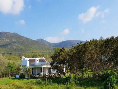 Berg N Dal Heritage Farm Gansbaai Western Cape South Africa Complementary Colors, Mountain, Nature, Highland