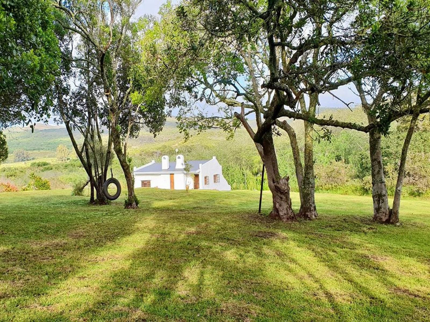Berg N Dal Heritage Farm Gansbaai Western Cape South Africa Tree, Plant, Nature, Wood