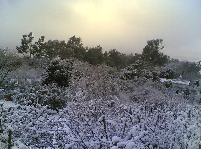 Berg Plaas Guest House Heidelberg Gauteng South Africa Infrared, Nature